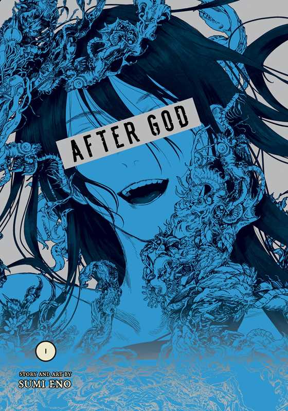 After God, Vol. 1 by Sumi  Eno: Paperback; 192 pages / English